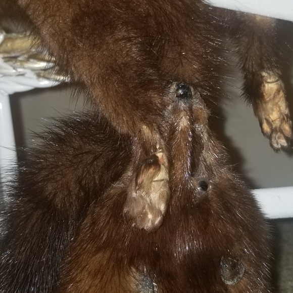 Vintage Mink Stole - Picture 2 of 4